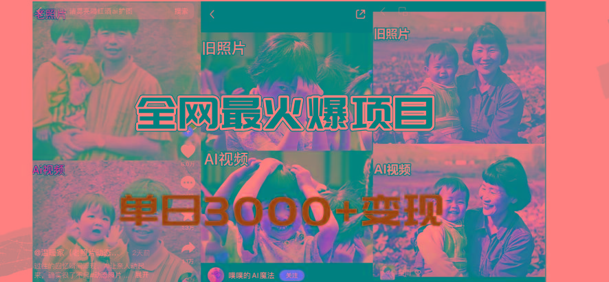 全网爆火的AI让老照片动起来教程，蹭热点日赚3000+，内含免费工具一键…-梦凌网创
