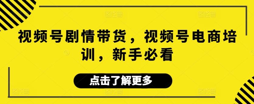 视频号剧情带货，视频号电商培训，新手必看-薪火元第一资源库