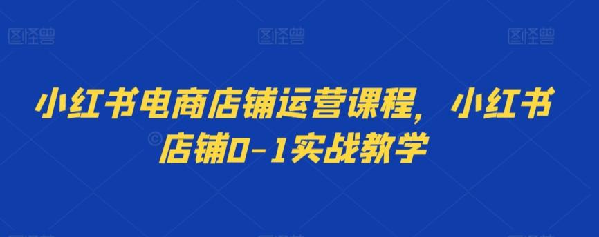 小红书电商店铺运营课程，小红书店铺0-1实战教学-梦凌网创