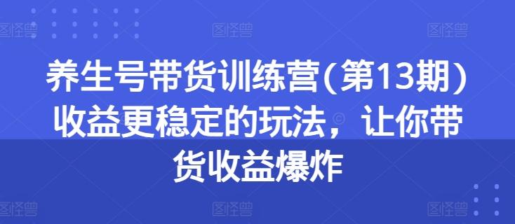 养生号带货训练营(第13期)收益更稳定的玩法，让你带货收益爆炸-梦凌网创