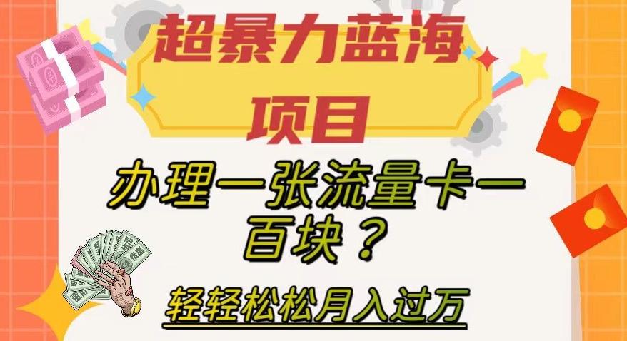 超暴力蓝海项目，办理一张流量卡一百块？轻轻松松月入过万，保姆级教程【揭秘】-梦凌网创