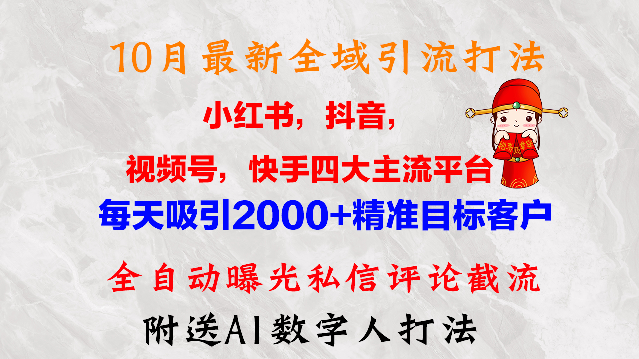 10月最新小红书，抖音，视频号，快手四大平台全域引流，，每天吸引2000…-梦凌网创