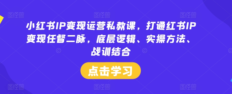 小红书IP变现运营私教课，打通红书IP变现任督二脉，底层逻辑、实操方法、战训结合-梦凌网创