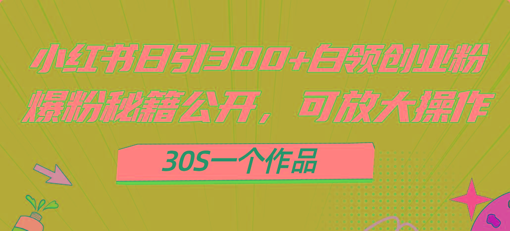 小红书日引300+高质白领创业粉，可放大操作，爆粉秘籍！30s一个作品-梦凌网创