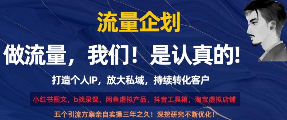 流量企划，打造个人IP，放大私域，持续转化客户【揭秘】-梦凌网创