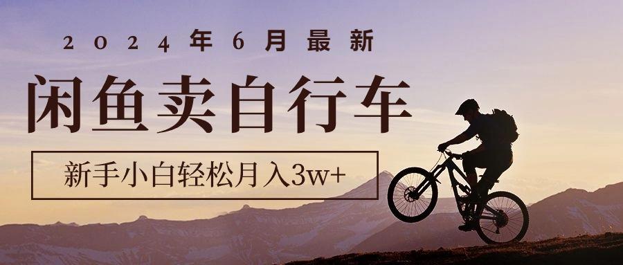 2024年6月最新闲鱼卖自行车，新手小白轻松月入3w+项目-梦凌网创