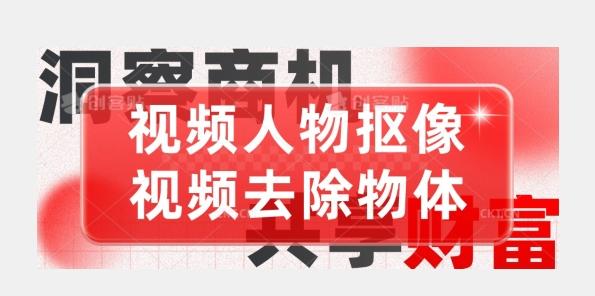 【超强视频处理工具】视频人物抠像+视频去除物体-梦凌网创