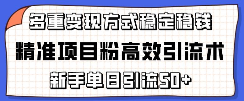 精准项目粉高效引流术，新手单日引流50+，多重变现方式稳定赚钱【揭秘】-梦凌网创