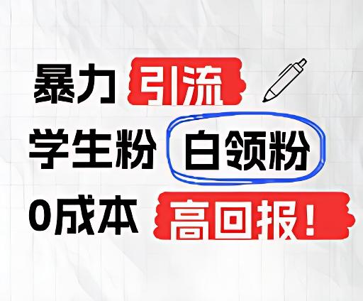 暴力引流学生粉白领粉，吊打以往垃圾玩法，0成本，高回报-梦凌网创