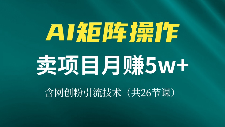 网创IP打造课，借助AI卖项目月赚5万+，含引流技术(共26节课-梦凌网创