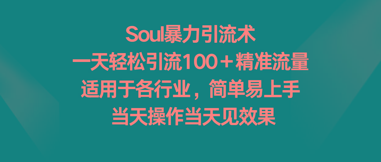 Soul暴力引流术，一天轻松引流100＋精准流量，适用于各行业，简单易上手！-梦凌网创