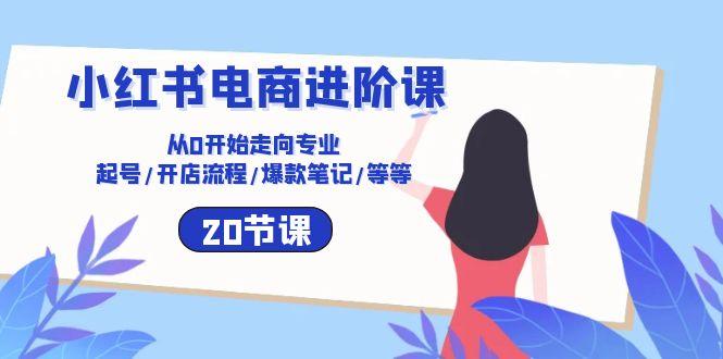 小红书电商进阶课：从0开始走向专业 起号/开店流程/爆款笔记/等等(20节-梦凌网创