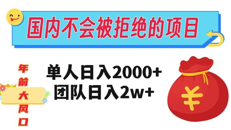 在国内不怕被拒绝的项目，单人日入2000，团队日入20000+【揭秘】-梦凌网创