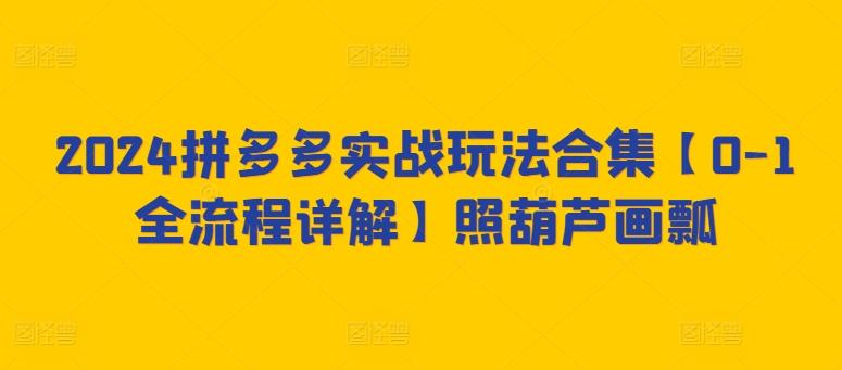 2024拼多多实战玩法合集【0-1全流程详解】照葫芦画瓢-梦凌网创