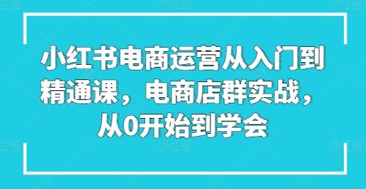 小红书电商运营从入门到精通课，电商店群实战，从0开始到学会-梦凌网创