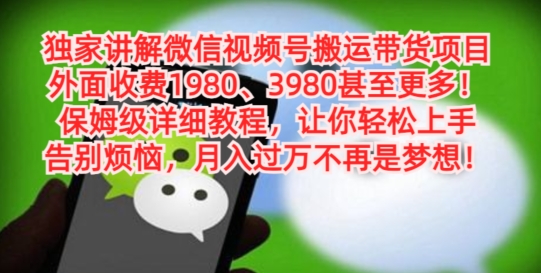 独家讲解微信视频号搬运带货项目，保姆级详细教程-梦凌网创
