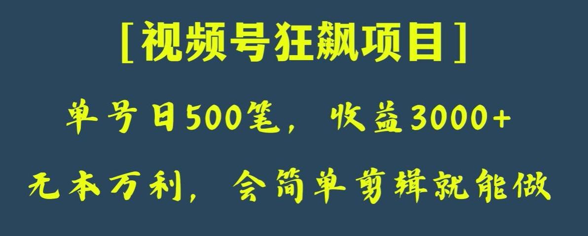 日收款500笔，纯利润3000+，视频号狂飙项目，会简单剪辑就能做【揭秘】-薪火元第一资源库