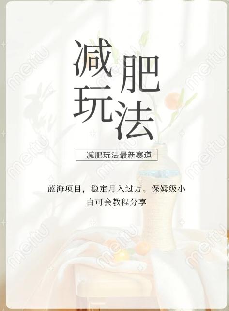 减肥流量主新玩法，轻松月入1W，可矩阵操作收入翻倍-梦凌网创