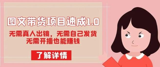 图文带货项目速成1.0：无需真人出镜，无需自己发货，无需开播也能赚钱！-梦凌网创