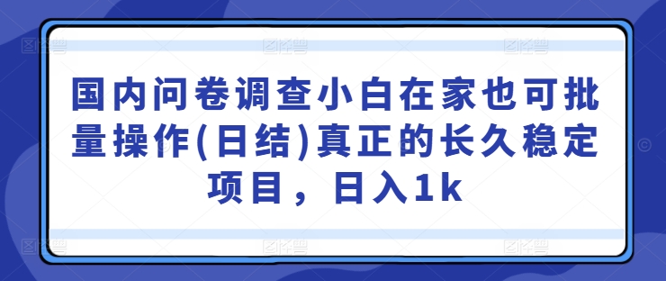 国内问卷调查小白在家也可批量操作(日结)真正的长久稳定项目，日入1k【揭秘】-梦凌网创