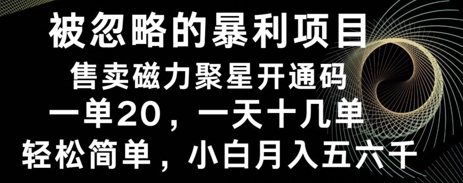 被忽略的暴利项目！售卖磁力聚星开通码，一单20，一天十几单，轻松月入五六千-梦凌网创