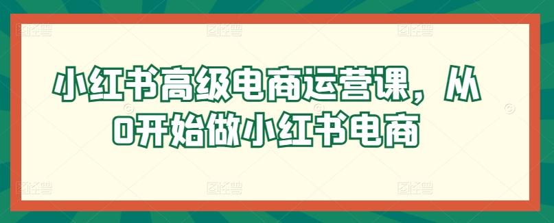 小红书高级电商运营课，从0开始做小红书电商-梦凌网创