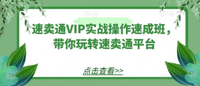 速卖通VIP实战操作速成班，带你玩转速卖通平台-梦凌网创