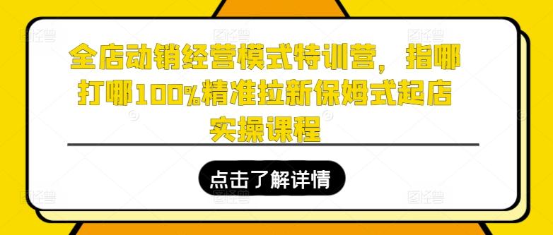 全店动销经营模式特训营，指哪打哪100%精准拉新保姆式起店实操课程-梦凌网创