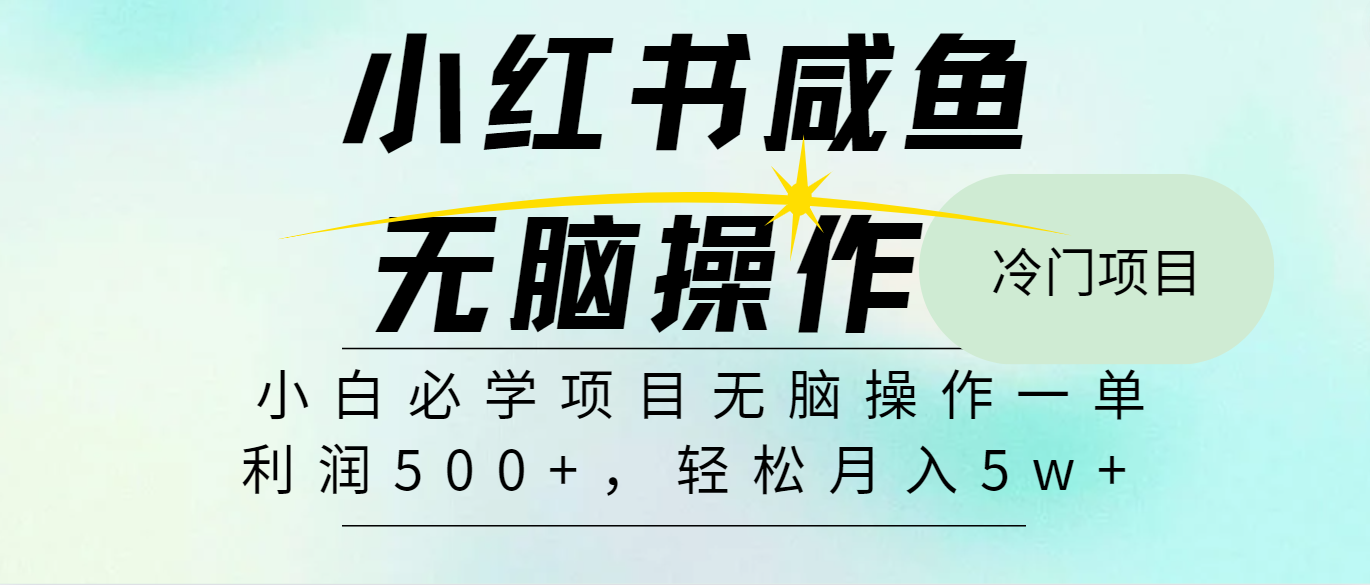 全网首发2024最热门赚钱暴利手机操作项目，简单无脑操作，每单利润最少500+-梦凌网创