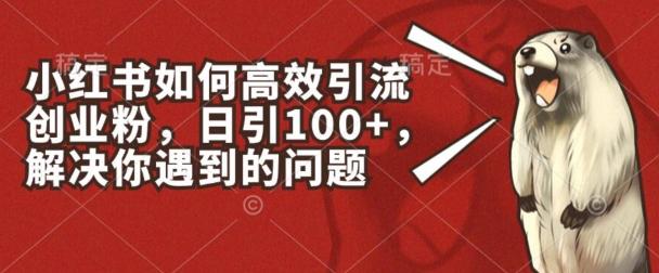 小红书如何高效引流创业粉，日引100+，解决你遇到的问题【揭秘】-梦凌网创