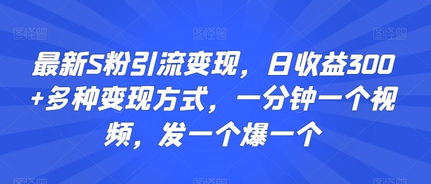 最新S粉引流变现，日收益300+多种变现方式，一分钟一个视频，发一个爆一个【揭秘】-梦凌网创
