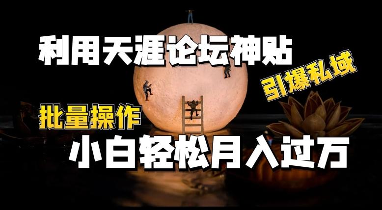 利用天涯论坛神贴，引爆私域，批量操作，小白轻松月入过w【揭秘】-梦凌网创