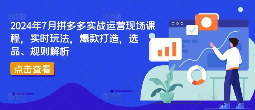 2024年7月拼多多实战运营现场课程，实时玩法，爆款打造，选品、规则解析-梦凌网创