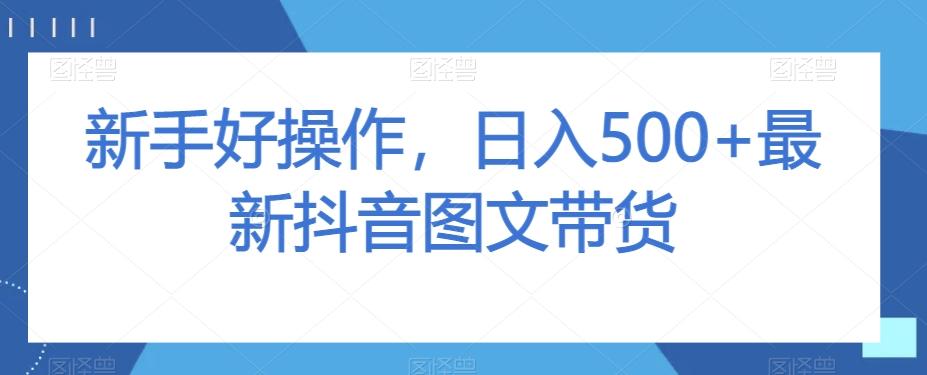 新手好操作，日入500+最新抖音图文带货【揭秘】-梦凌网创
