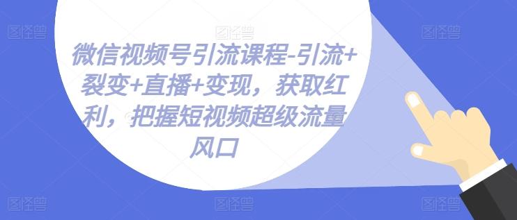 微信视频号引流课程-引流+裂变+直播+变现，获取红利，把握短视频超级流量风口-梦凌网创