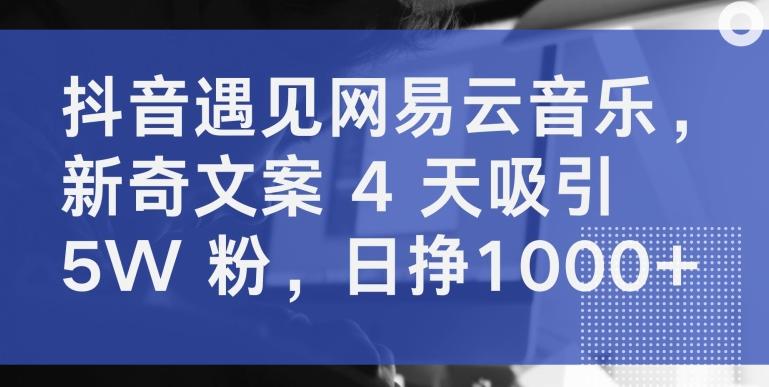 抖音遇见网易云音乐，新奇文案 4 天吸引 5W 粉，日挣1000+【揭秘】-梦凌网创