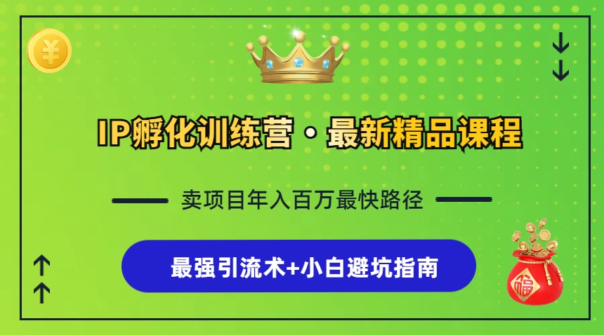 IP孵化训练营，知识付费全流程+最强引流术+小白避坑指南-梦凌网创