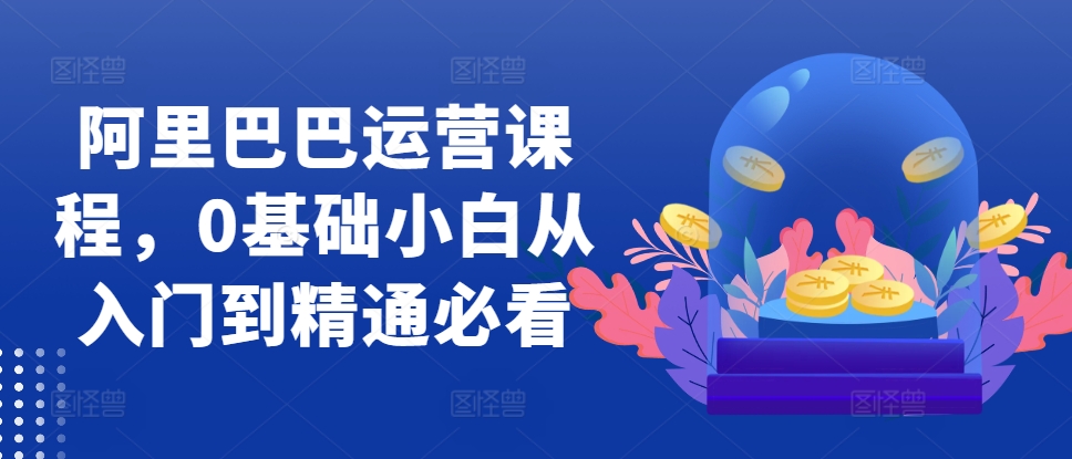 阿里巴巴运营课程，0基础小白从入门到精通必看-梦凌网创