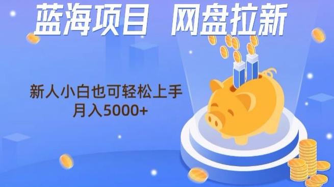 蓝海项目网盘拉新，新人小白也可操作，每月收入5000+-梦凌网创