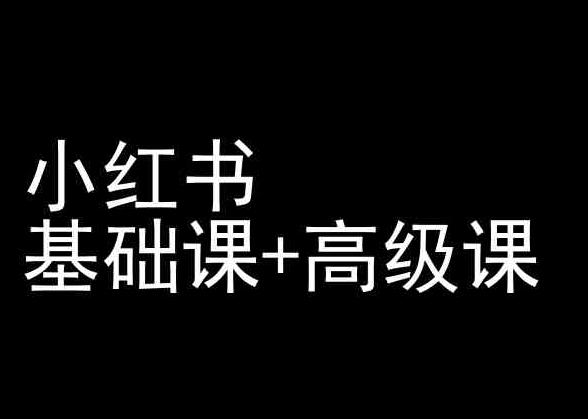 小红书基础课+高级课-小红书运营教程-梦凌网创