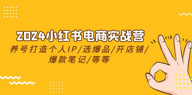 2024小红书电商实战营，养号打造IP/选爆品/开店铺/爆款笔记/等等(24节)-梦凌网创