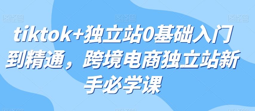 tiktok+独立站0基础入门到精通，跨境电商独立站新手必学课-梦凌网创