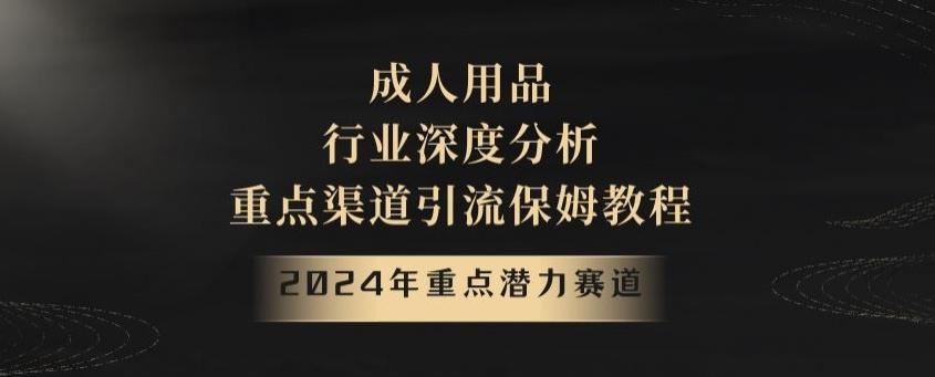 2024年重点潜力赛道，成人用品行业深度分析，重点渠道引流保姆教程【揭秘】-梦凌网创