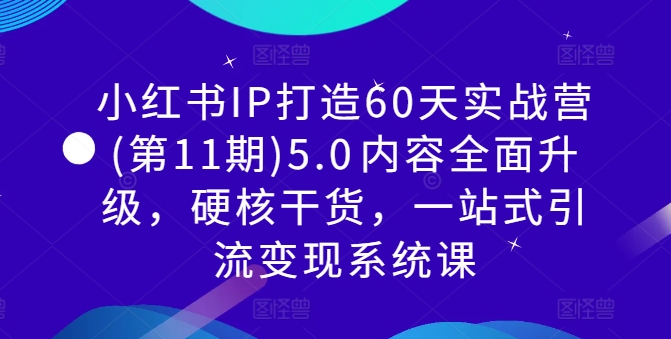 小红书IP打造60天实战营(第11期)5.0​内容全面升级，硬核干货，一站式引流变现系统课-梦凌网创