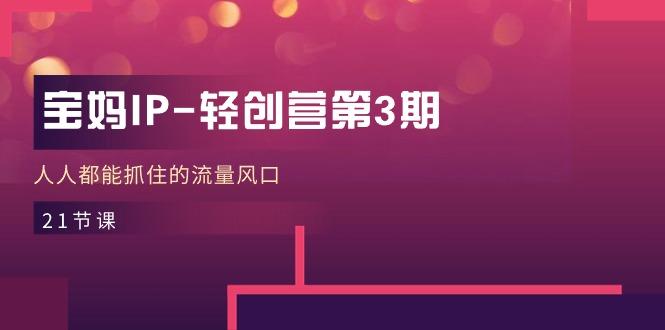 宝妈IP-轻创营第3期，人人都能抓住的流量风口(21节课-梦凌网创