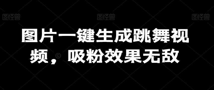 图片一键生成跳舞视频，吸粉效果无敌-梦凌网创