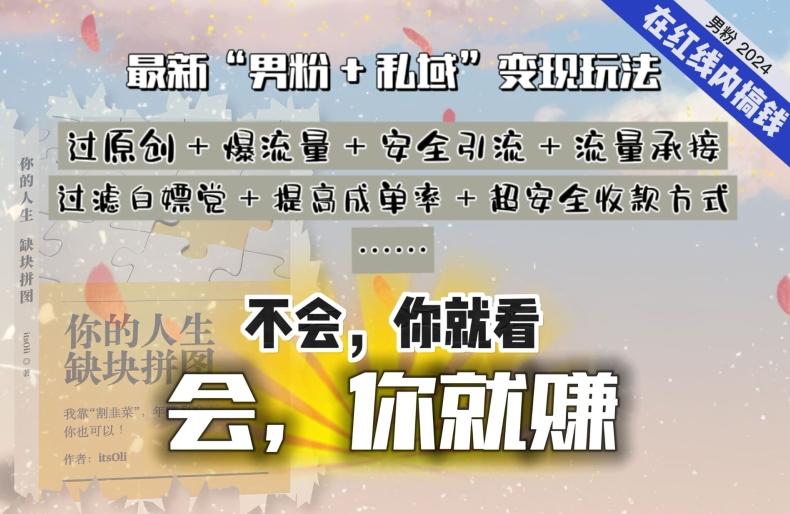 2024，“男粉+私域”还是最耐造、最赚、最轻松、最愉快的变现方式【揭秘】-梦凌网创