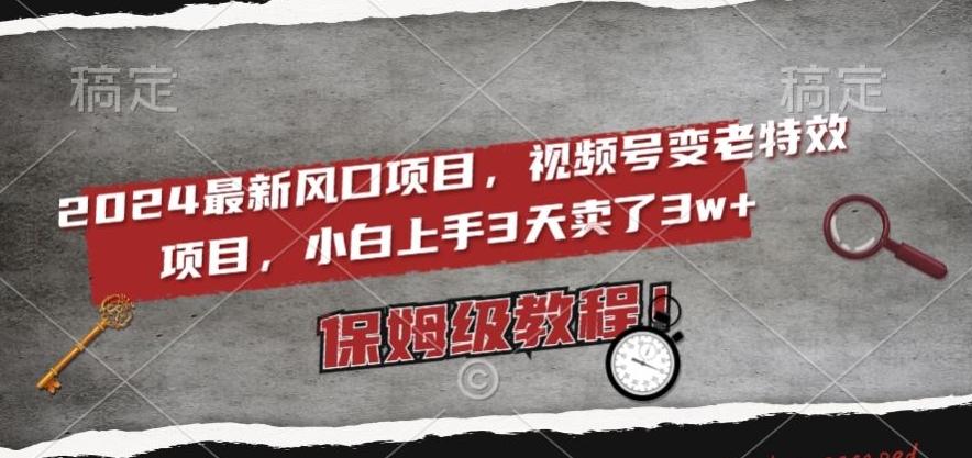 2024最新风口项目，视频号变老特效项目，电脑小白上手3天卖了3w+，保姆级教程【揭秘】-梦凌网创