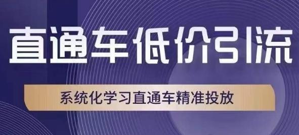 直通车低价引流课，系统化学习直通车精准投放-梦凌网创