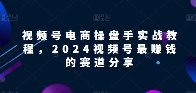 视频号电商实战教程，2024视频号最赚钱的赛道分享-梦凌网创